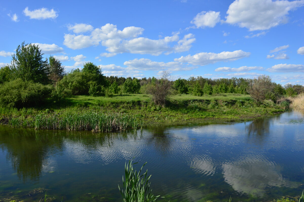 Донские виды. - Виктор 