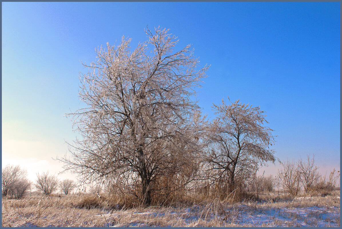 Зима. - Александр. AVG100 ---