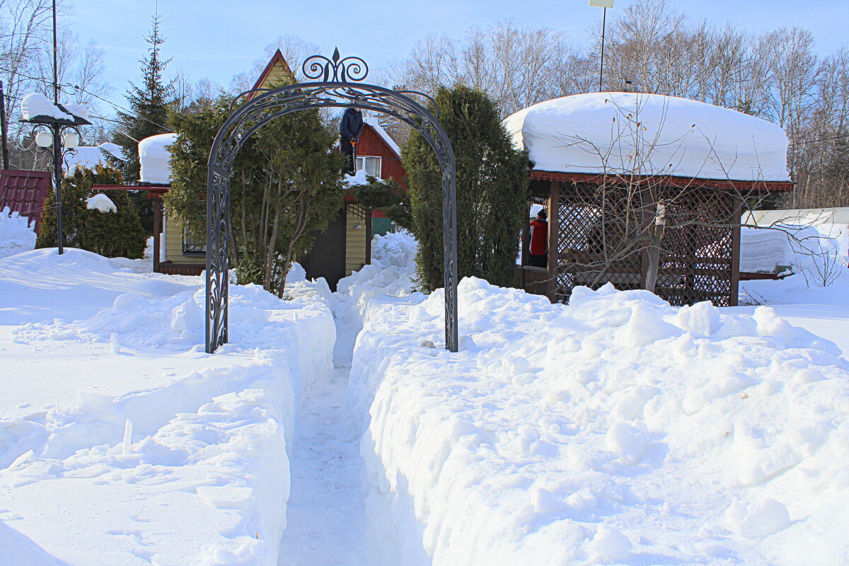 Тропинка зимне-дачная - Татьяна Лютаева
