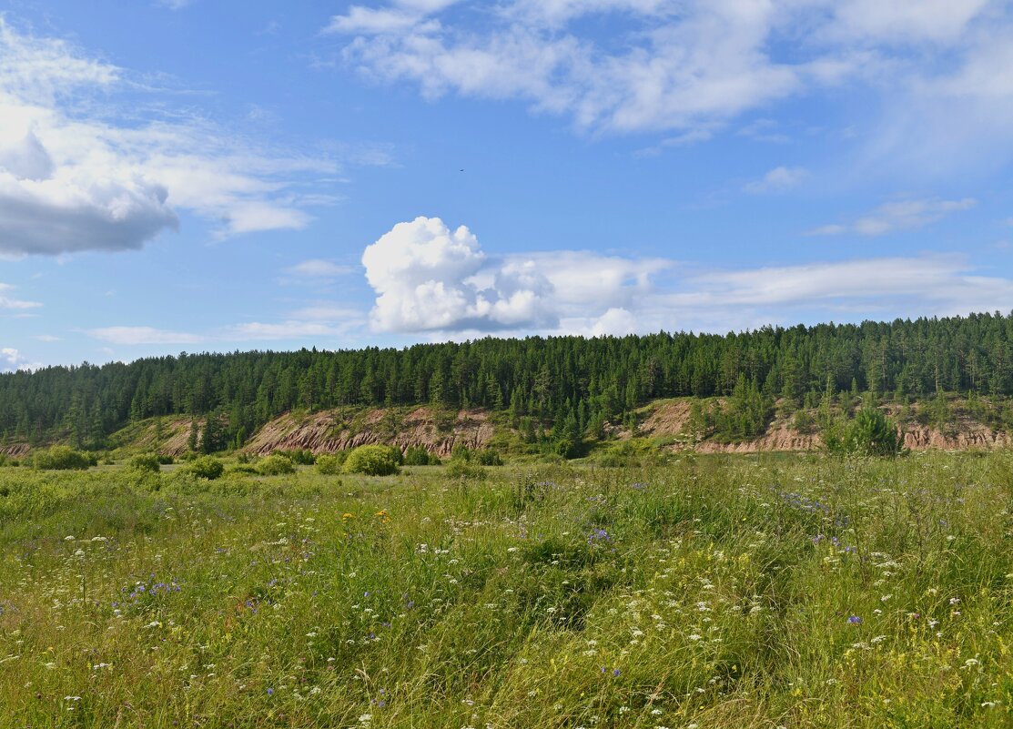 Зелень ангарского лета - Сергей Шаврин Зелень ангарского лета - Сергей Шаврин