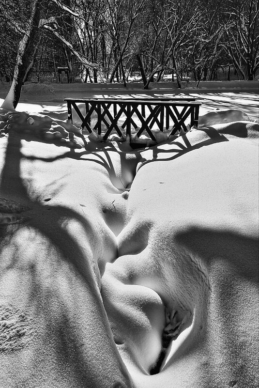 Светотеневая фотографика (2) - Николай Кондаков