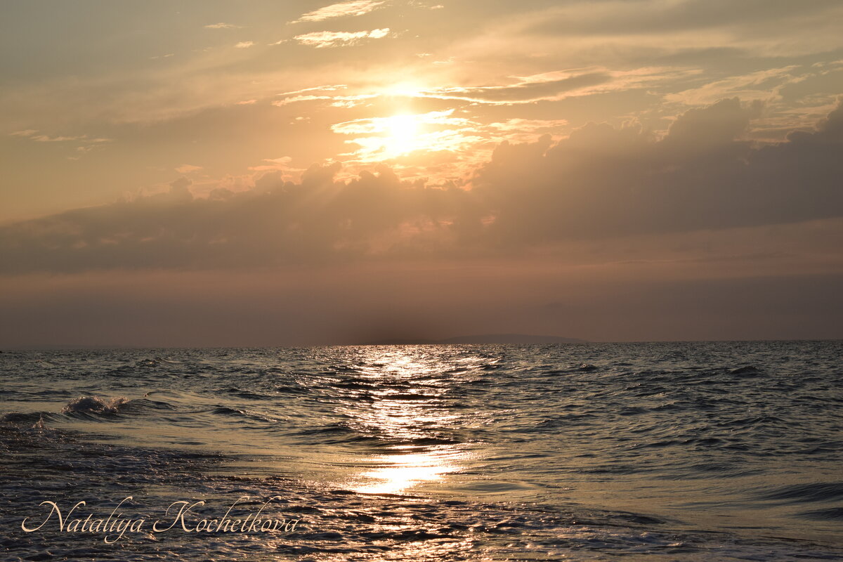 Природа Крыма - Amazing Cosmea