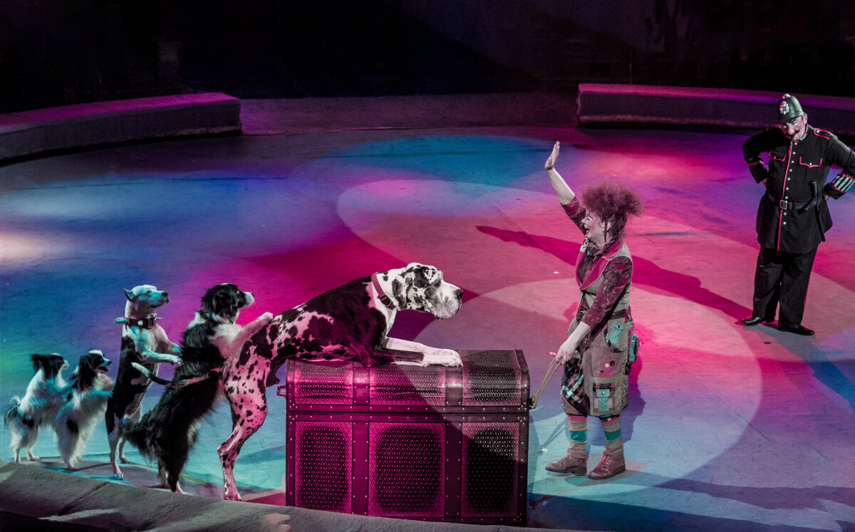 ИЖЕВСК ЦИРК - Владимир Максимов