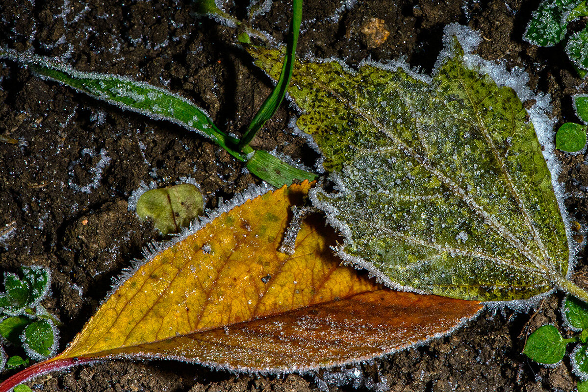 Сказка – а можно потрогать эту волшебную нить - Римма Волченко