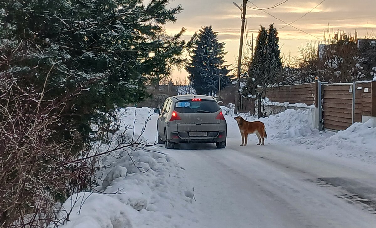 Зимний вечер в деревне - Наталья Герасимова
