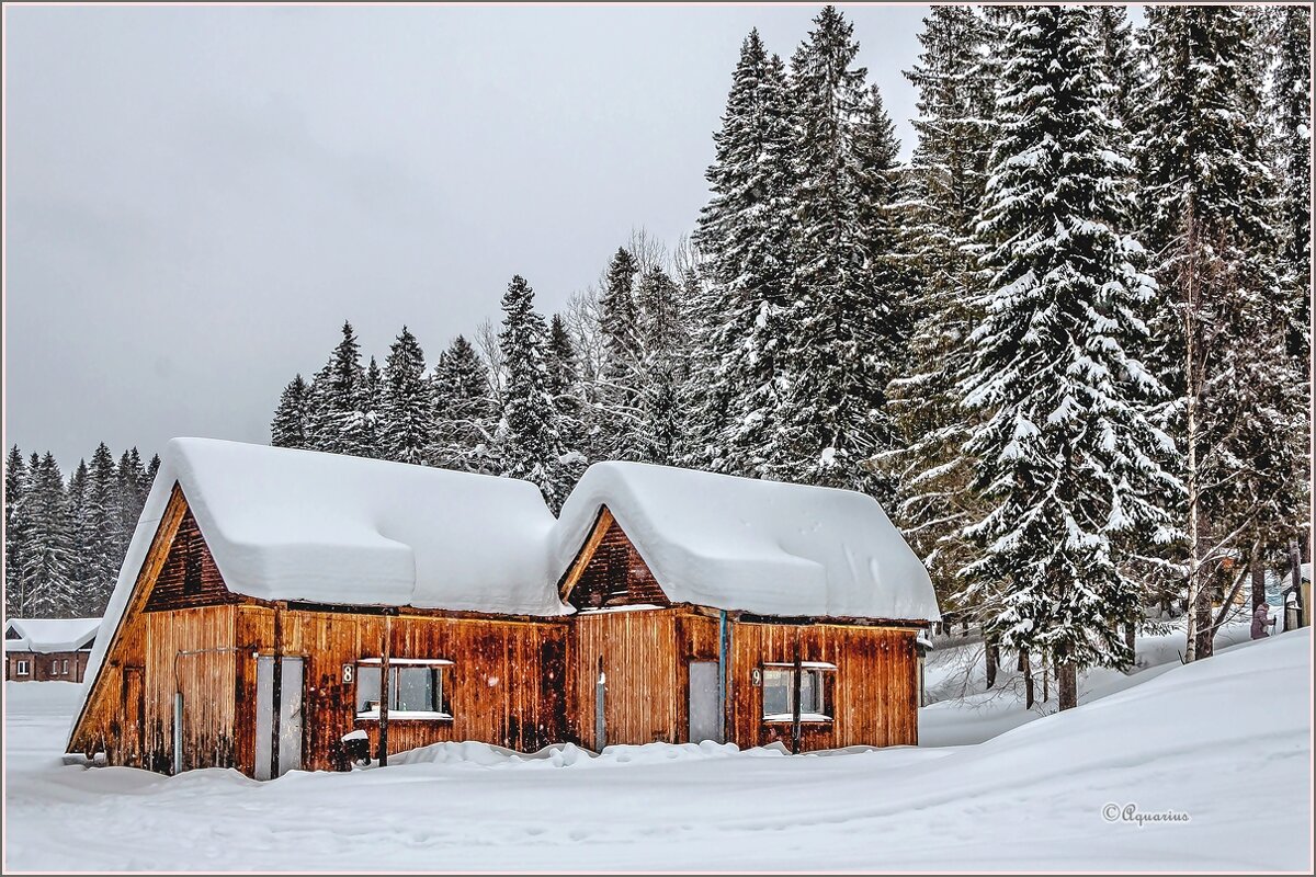 Снежный февраль... - Aquarius - Сергей