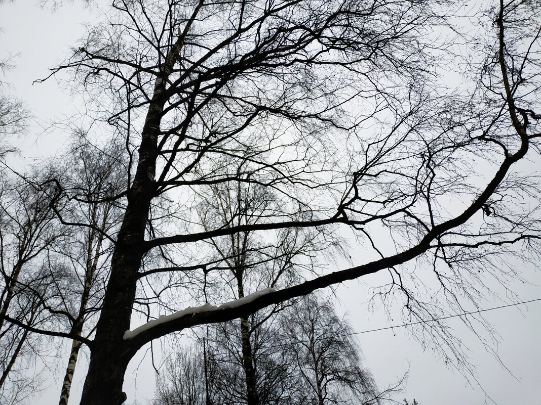 * * * - Андрей Лукьянов