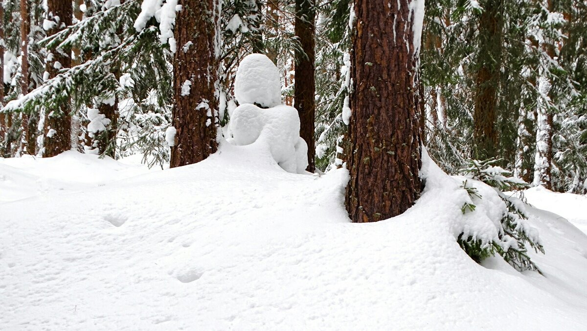 Зимний лес - Милешкин Владимир Алексеевич 