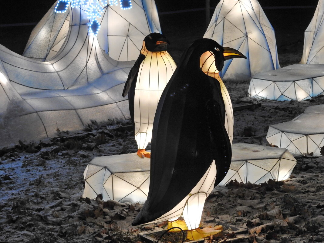 скоро Новый год - ИННА ПОРОХОВА