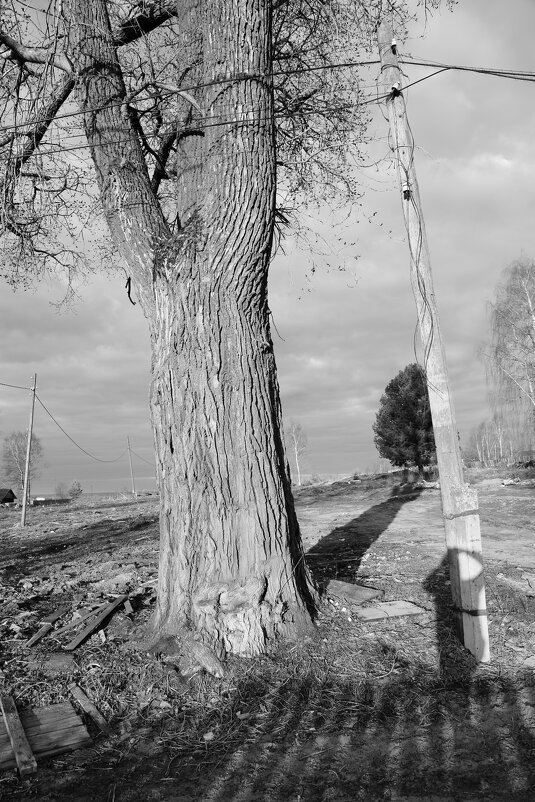 Фотография - Денис Безногов