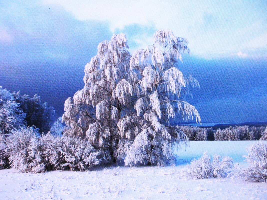 Такой вот февраль - Людмила Смородинская