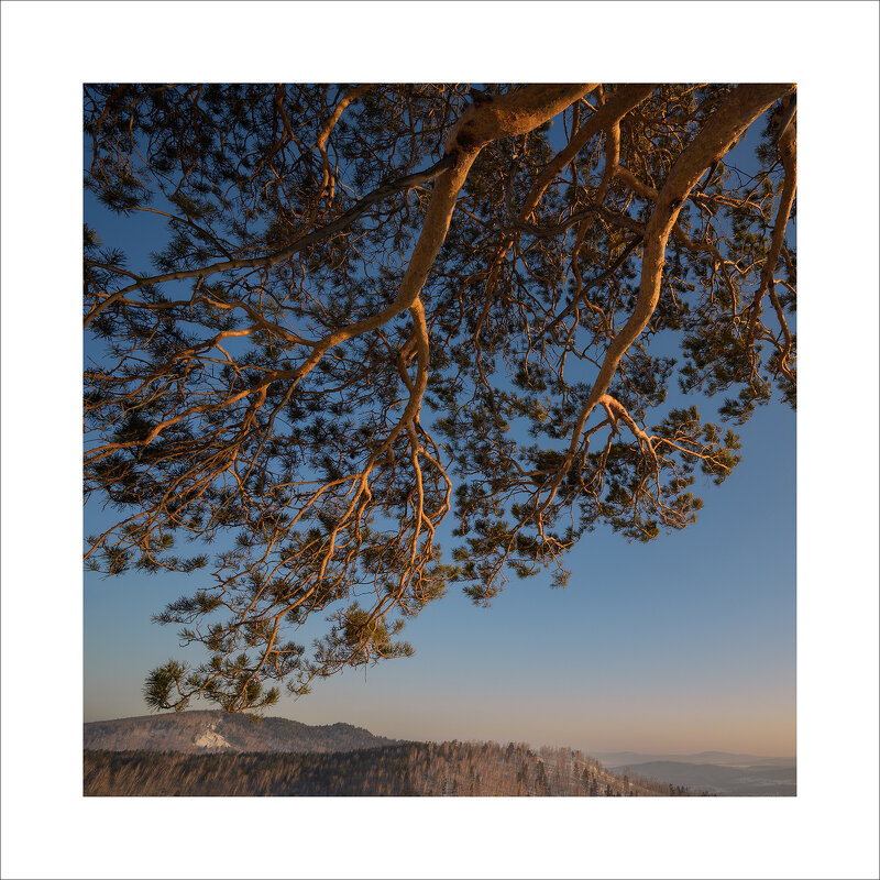 * - Александр Иванов