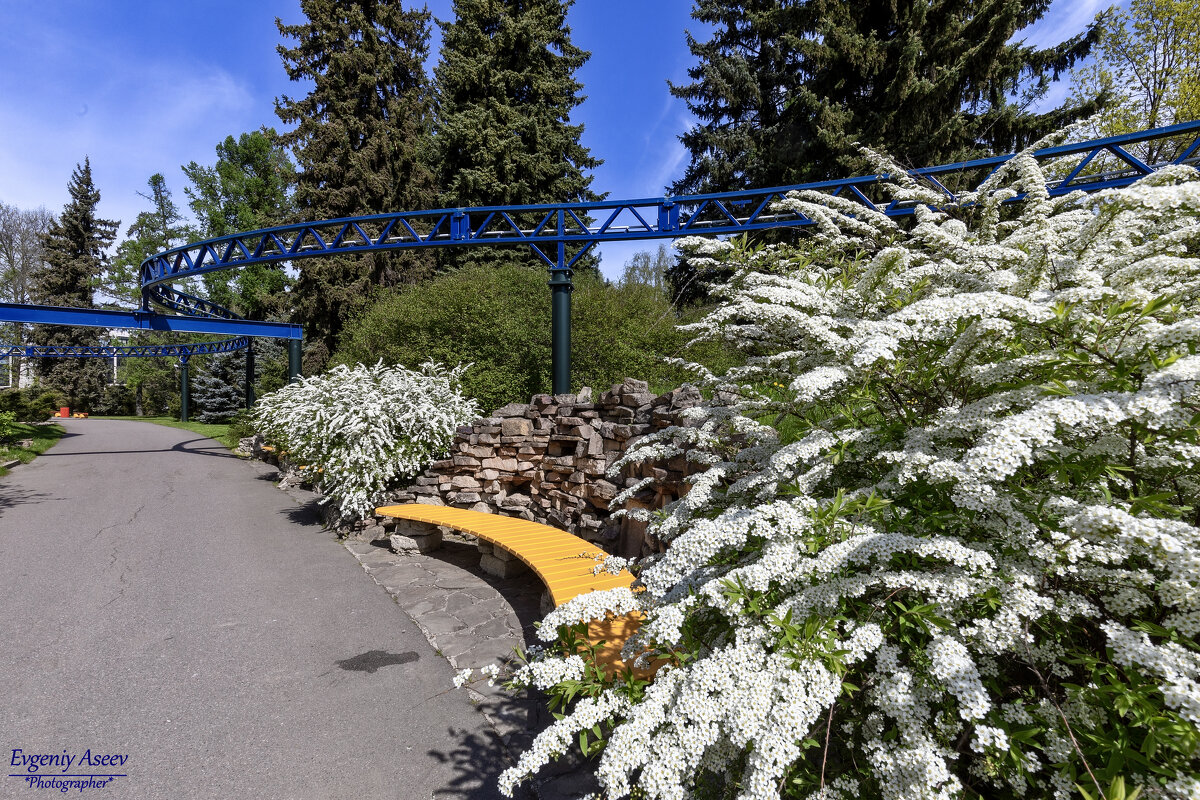 В городе весна - Евгений В городе весна - Евгений