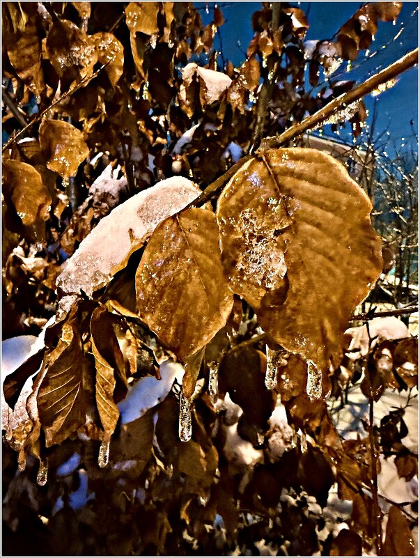 Ледяной дождь. - Валерия Комова Ледяной дождь. - Валерия Комова