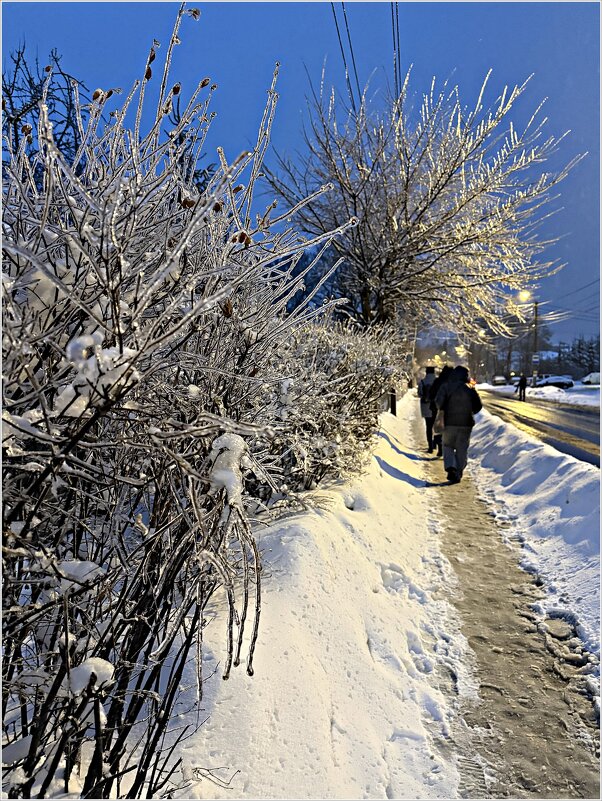 Ледяные кусты. - Валерия Комова