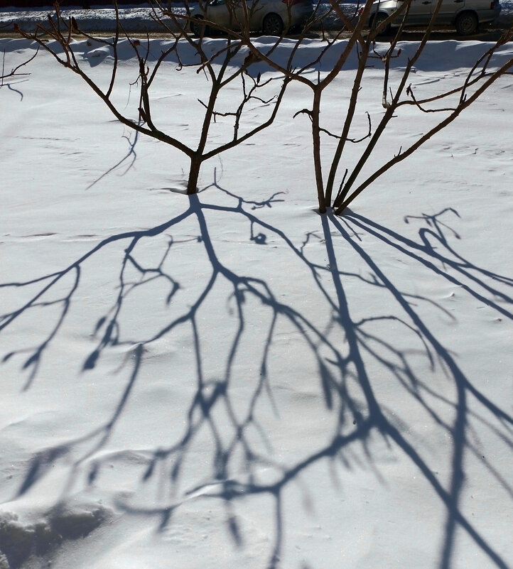 *** - Валентина Береснева