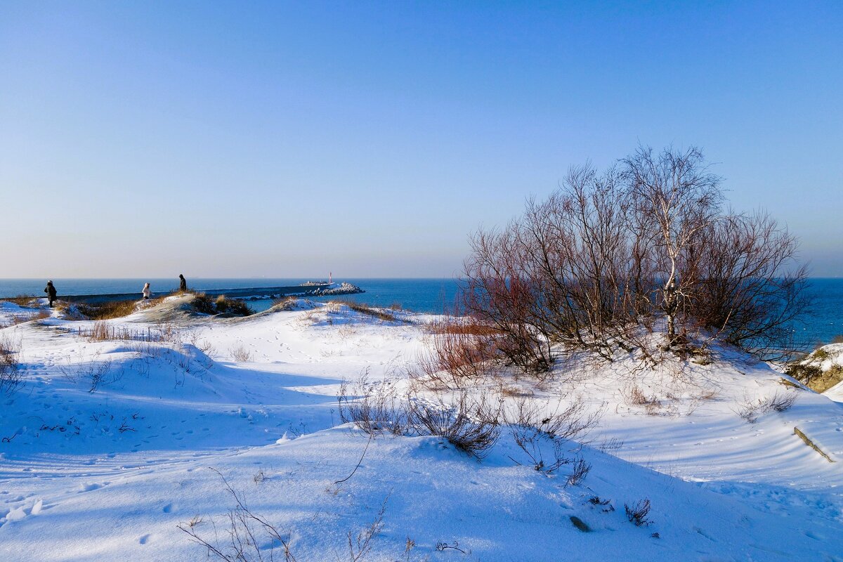 Снежный берег и бескрайнее Балтийское море - Рита Симонова