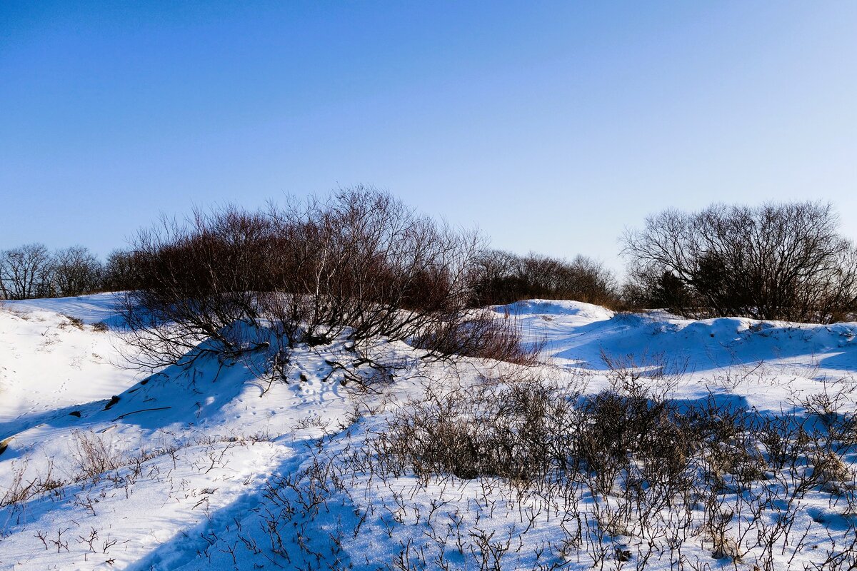 Зимний пейзаж у Балтийского моря - Рита Симонова