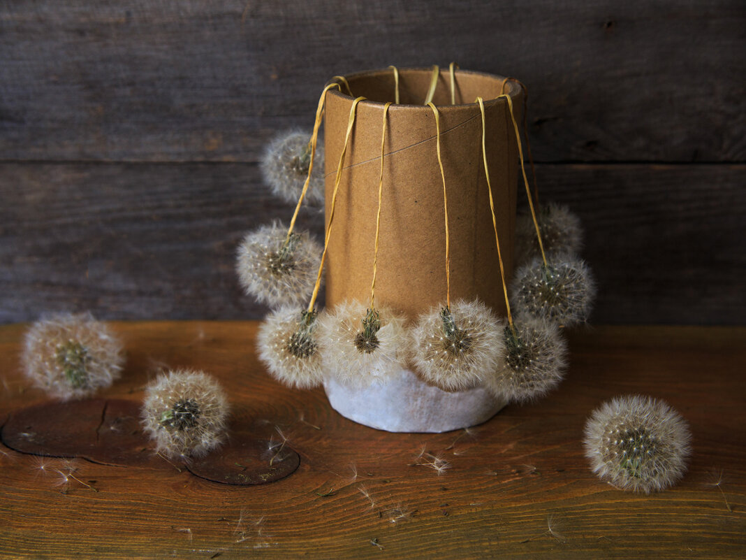 Одуванчики - Владимир Гришин