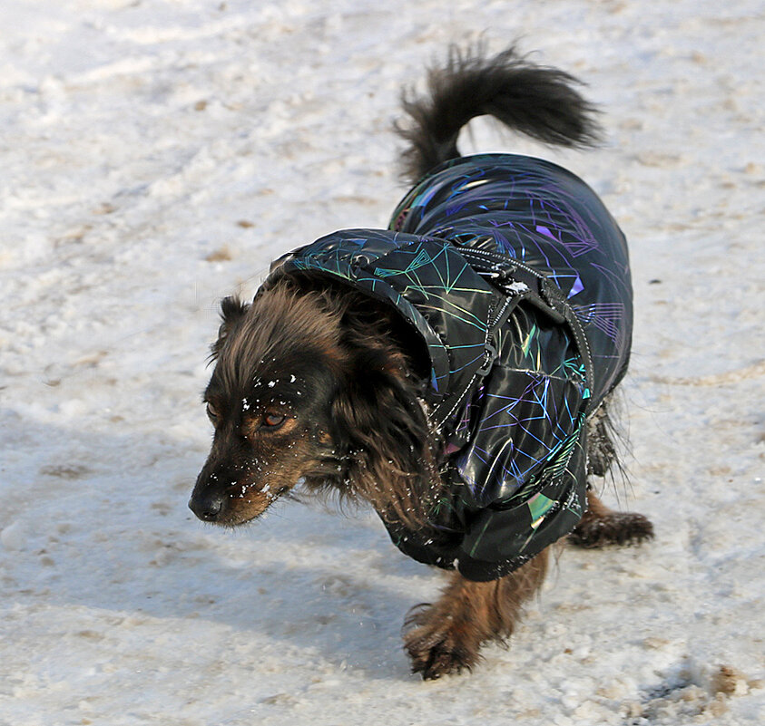 Что-то ноги у меня заплетаются.. - Светлана Что-то ноги у меня заплетаются.. - Светлана