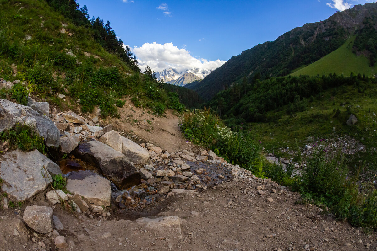 У ручья - Алексей У ручья - Алексей