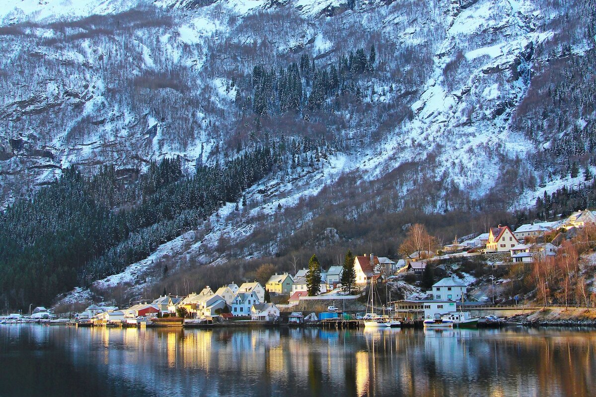 Жизнь во фьорде - В.И Жизнь во фьорде - В.И
