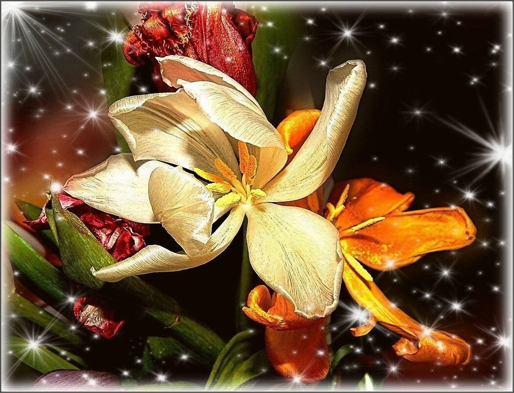 *** *** - Валентина Надсон