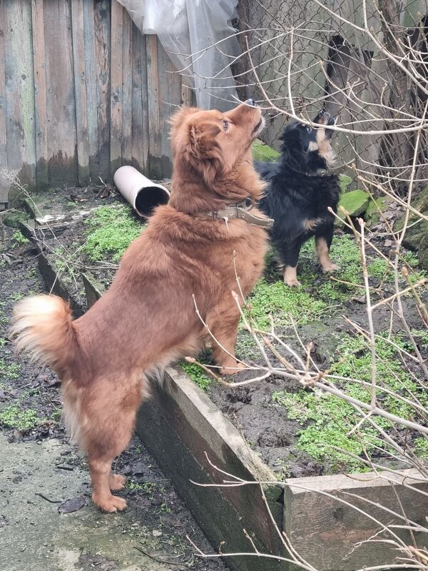 Дружная команда :) - Наталья 