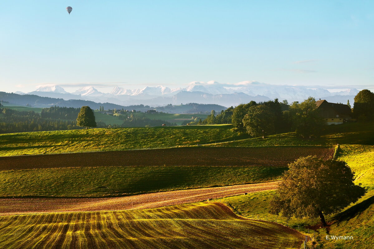 autumn - Elena Wymann