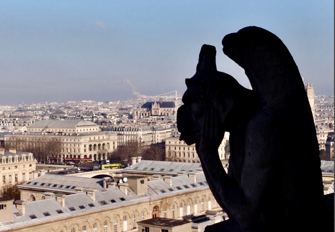 Тени над Нотр-Дам - Eldar Baykiev