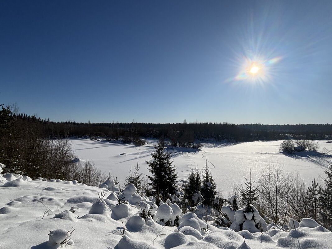 Просторы - Ольга Савельева 