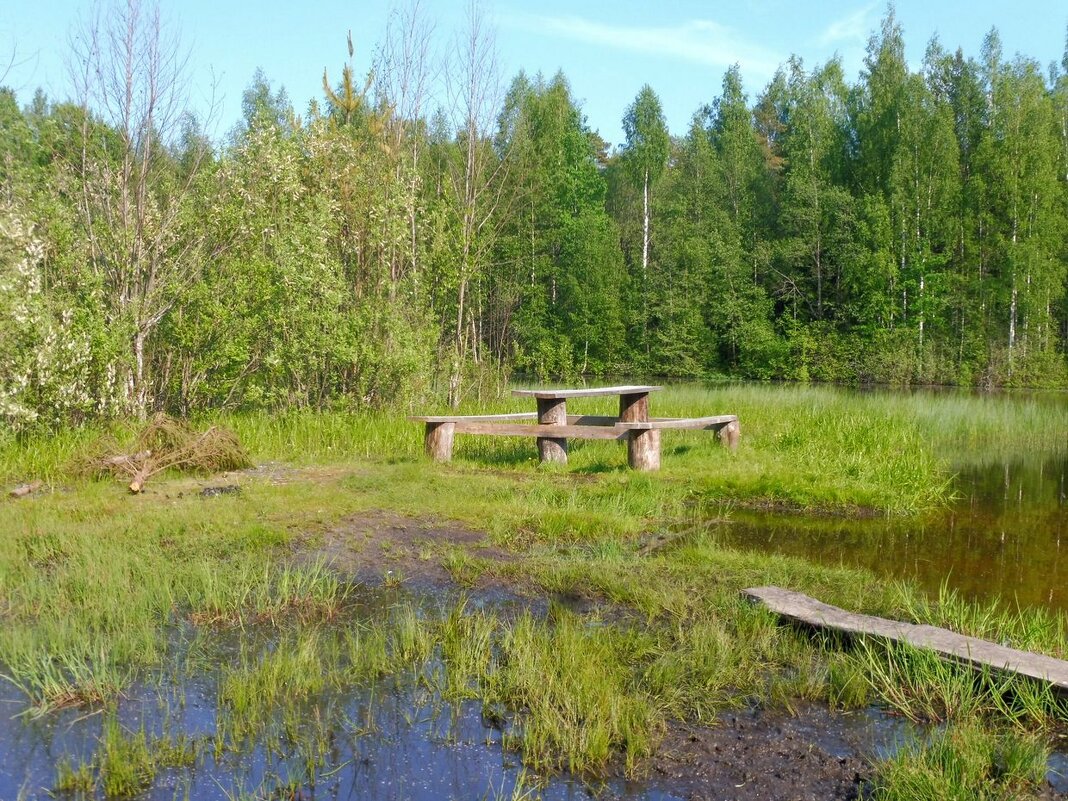 Зеленый карьер - Елена Суханова Зеленый карьер - Елена Суханова