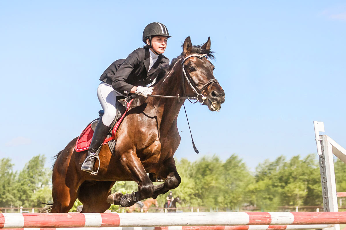 Конкур - SanSan 