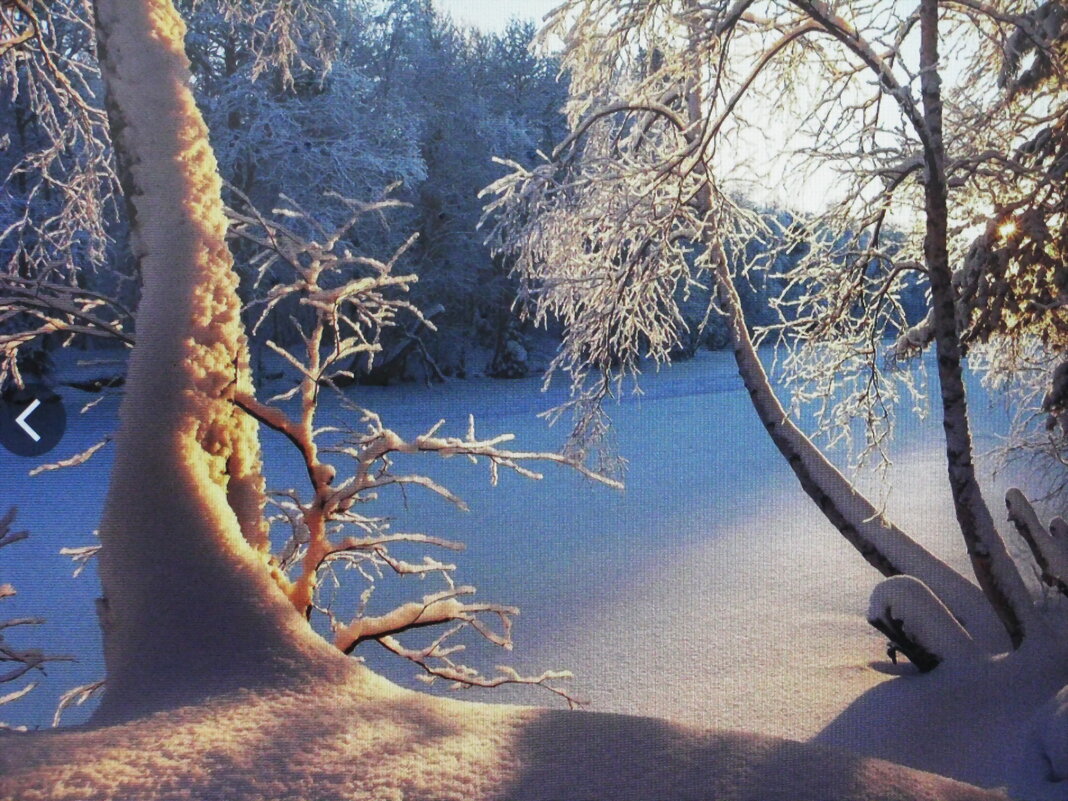 Мороз всё украшает - Людмила Смородинская