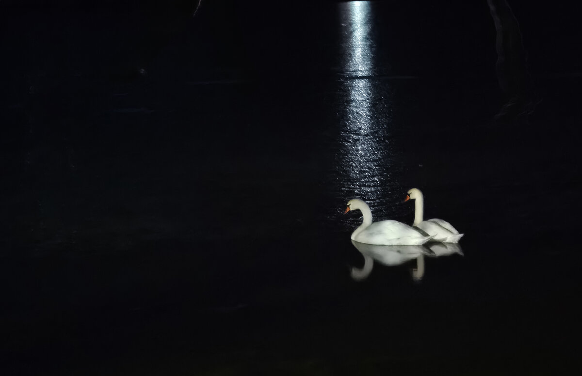 Ночное - Валерий Ткаченко