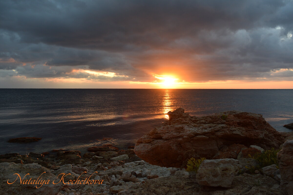 Природа Крыма - Amazing Cosmea Природа Крыма - Amazing Cosmea