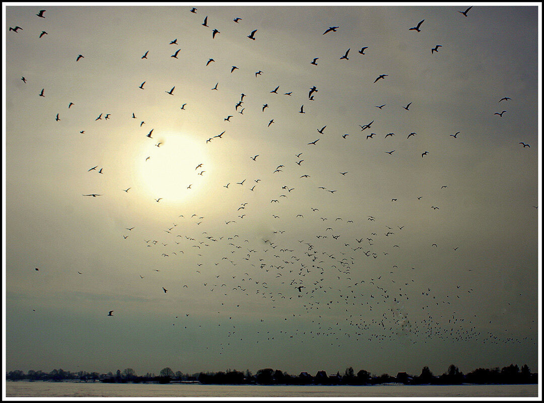 К солнцу - Aleksandr Gal К солнцу - Aleksandr Gal