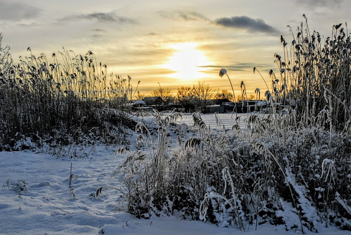 Зимнее утро. - Владимир Зимнее утро. - Владимир