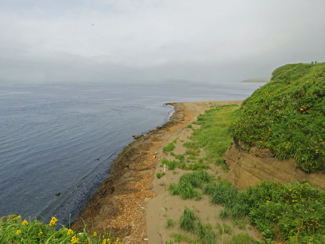 У Японского моря - ИРЭН@ .