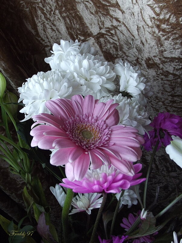 Букет - Freddy 97