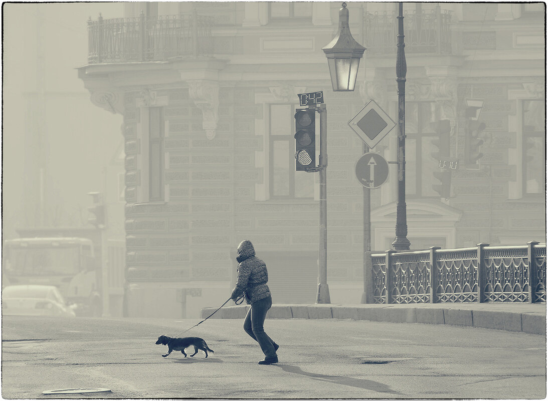 My magic Petersburg_00726_р. Мойка, Фонарный мост - Станислав Лебединский