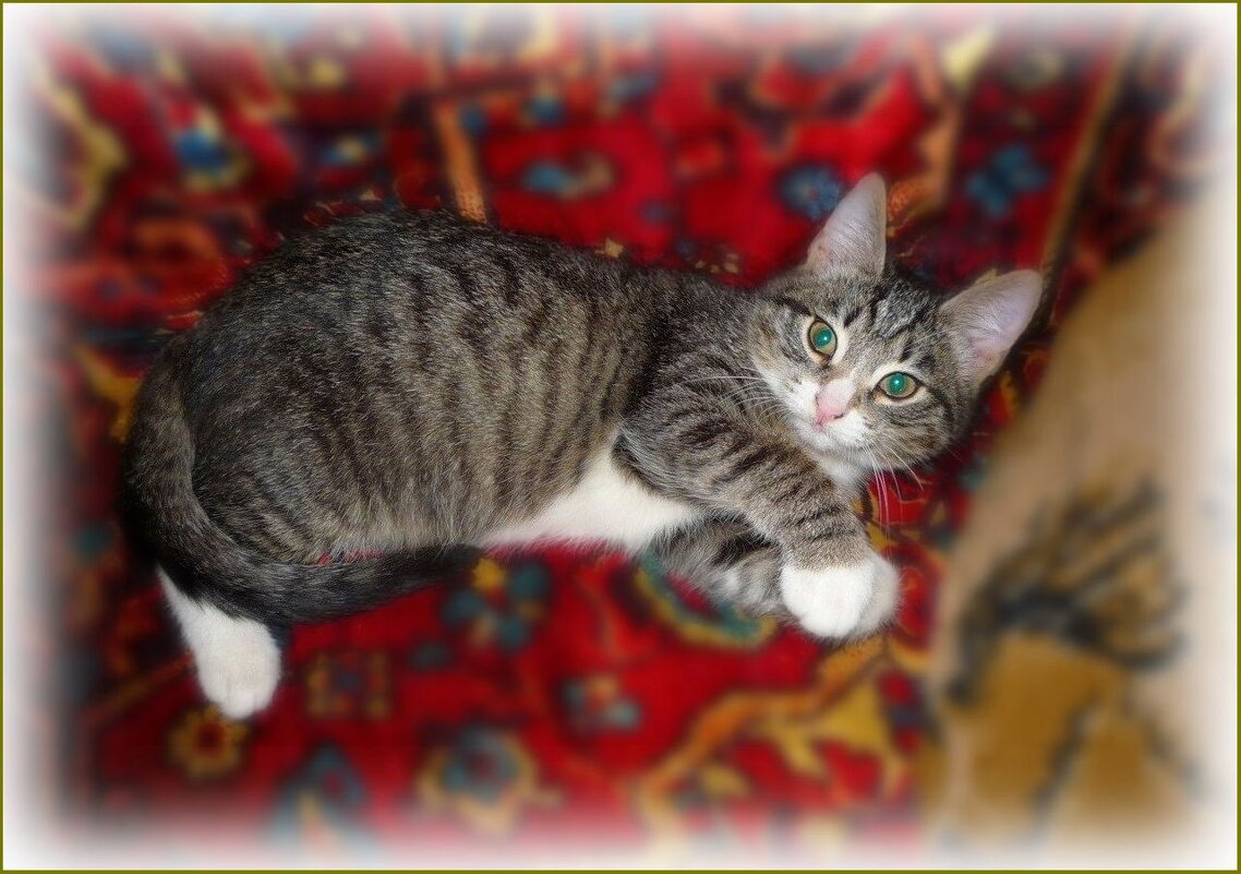 Зеленоглазая Маруся ... - Валентина Надсон