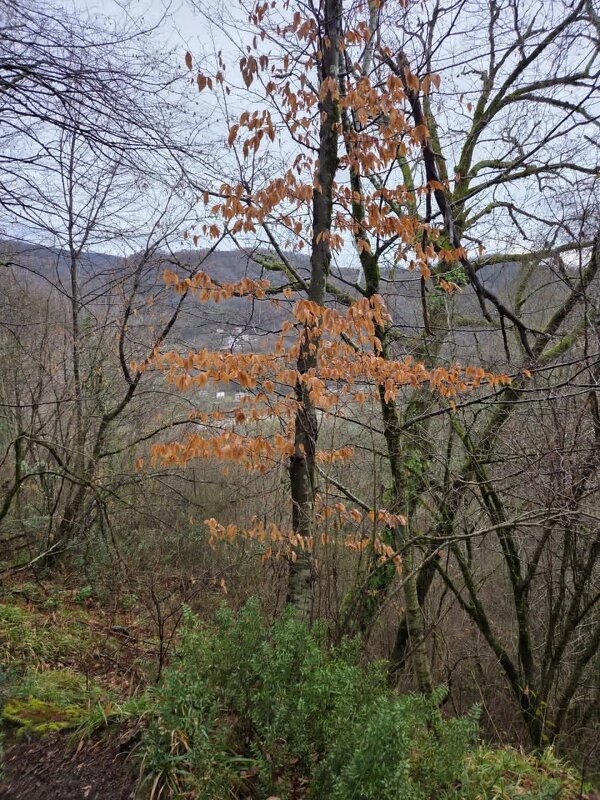 ФЕВРАЛЬ - Tata Wolf