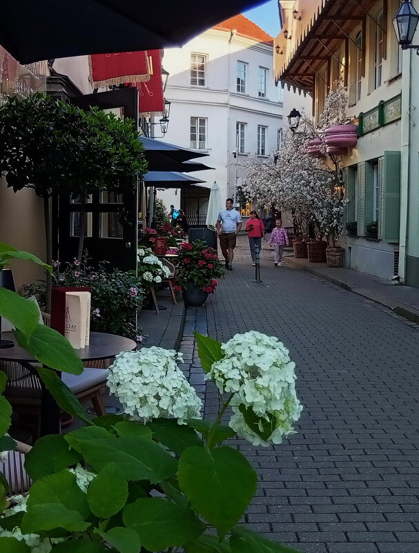 Летним вечером .. - Татьян@ Ивановна