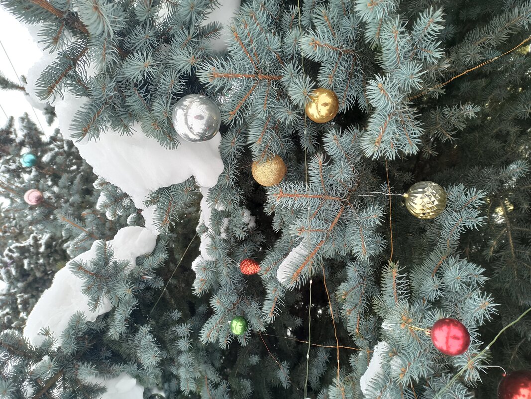 *** - Татьяна Осипова(Deni2048) *** - Татьяна Осипова(Deni2048)