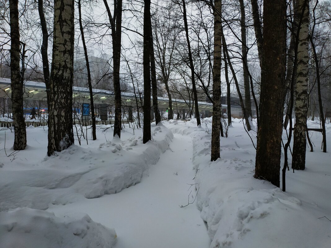 Первый день Масленичной недели.  Так начались проводы Зимы :-) - Андрей Лукьянов
