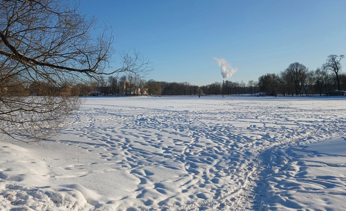 Петергоф. Ольгин пруд - Наталья Герасимова Петергоф. Ольгин пруд - Наталья Герасимова