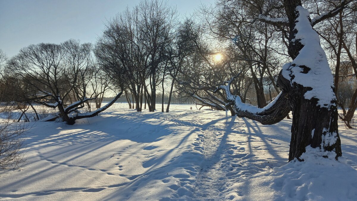 Петергоф. Ольгин пруд - Наталья Герасимова Петергоф. Ольгин пруд - Наталья Герасимова