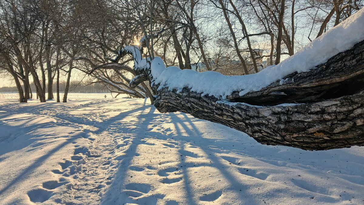 Петергоф. Ольгин пруд - Наталья Герасимова Петергоф. Ольгин пруд - Наталья Герасимова