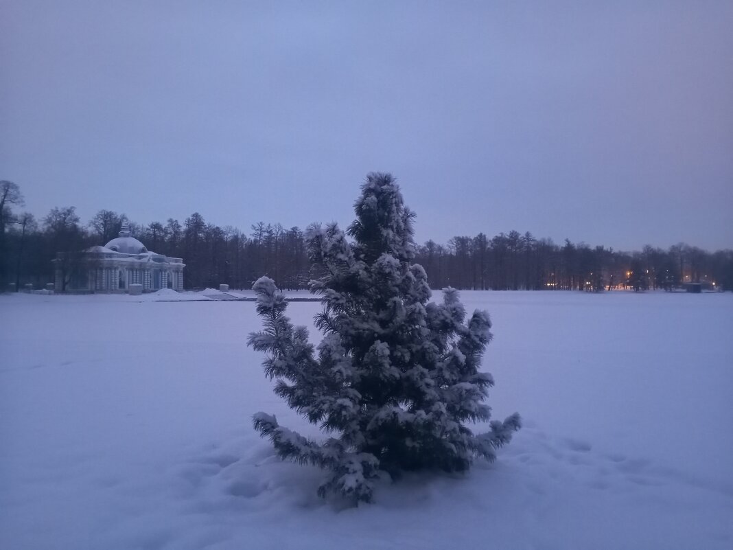 Зима - Сапсан 